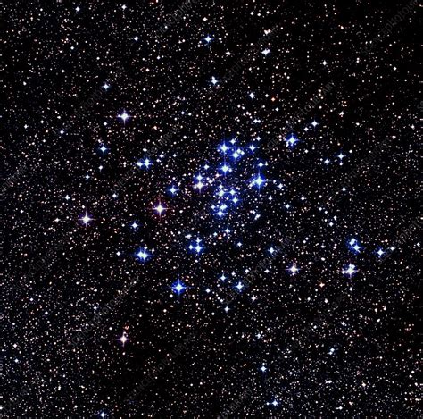 optical image   open star cluster ngc  stock image