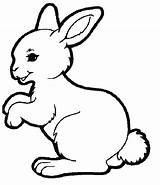 Coloring Pages Bunny Kids Rabbit Spring Colouring Hutch Baby Colors Books Template Visit Choose Board sketch template