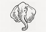 Coloring Pages Elephant African sketch template