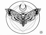 Death Head Moth Drawing Drawings Paintingvalley Hawkmoth sketch template