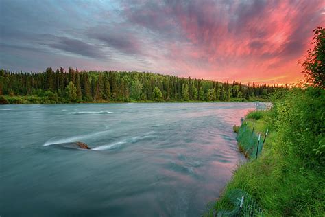 kenai river alaska sunset photograph  nathan bush fine art america