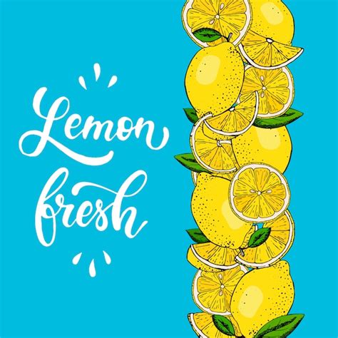 premium vector creative border  hand drawn lemons