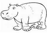 Hippo Coloring Pages Hippopotamus Amazing Outline Drawing Color Printable Netart Getdrawings Getcolorings Print Face sketch template