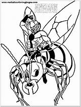 Coloring Pages Antman Ant Man Popular Printable sketch template