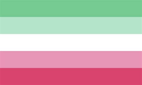 Abrosexual Pride Flag Pride Flags Lesbian Flag Lgbtq Flags