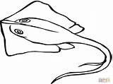 Stingray Coloring Printable Getcolorings Pages Color sketch template