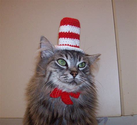 cat   hat hat   cat crocheted dr seuss  thecatshat