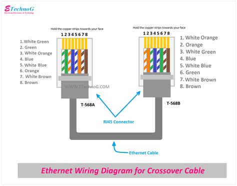ethernet cable wiring diagram  color code  cat cat etechnog