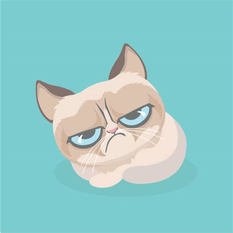 Grumpy Cat Illustrations Royalty Free Vector Graphics