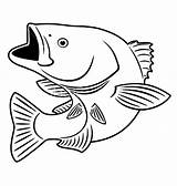 Fish Bass Coloring Pages Color Smallmouth Sniper Drawing Mouth Fishing Drawings Print Tocolor Patterns Printable Clipart Coin Template Place Burning sketch template