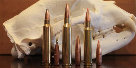 prc   lapua huntingevercom hunting guide