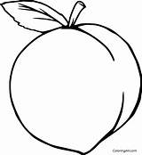 Peach Outline Colouring Coloringall Duraznos Pineapple sketch template