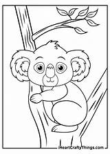 Koalas Nap Preparing Possibly Comfortable Iheartcraftythings sketch template