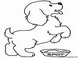 Dogs Coloring Pages Dog Kids Colouring Sheet Realistic Realisti sketch template