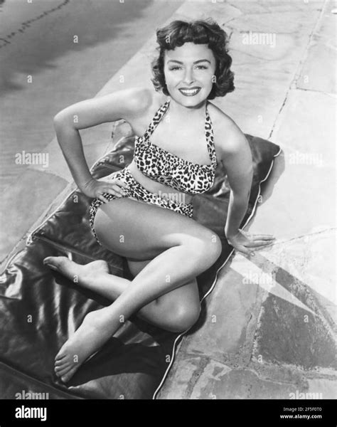 donna reed actress  res stock photography  images alamy