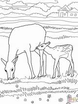 Elk Mommy Letter sketch template