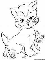 Coloring Pages Cats Realistic Cat Printable Color Kids Kitten Baby Kittens Kitty Cute Puppys sketch template