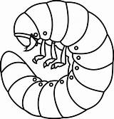 Larva Larve Grubs Grub Kleurende Wanze Abejorro Cockchafer Vecteurs Vectores Illustrationen sketch template