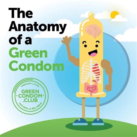 The Anatomy Of A Green Condom — Green Condom Club