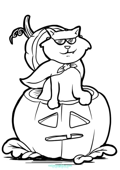 halloween cat  pumpkin coloring pages halloween coloring pages