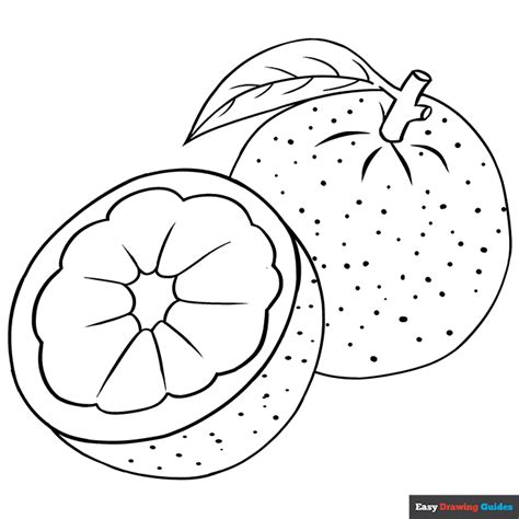 orange coloring page easy drawing guides