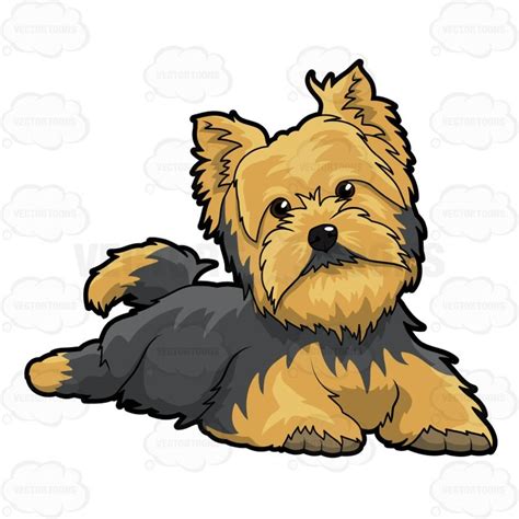 collection  yorkie clipart    yorkie clipart