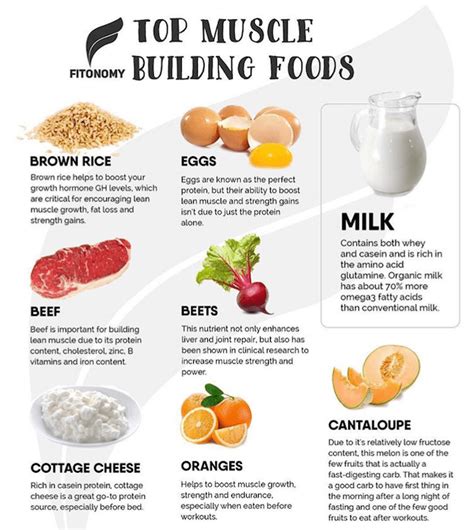 foods that help build muscle after workout