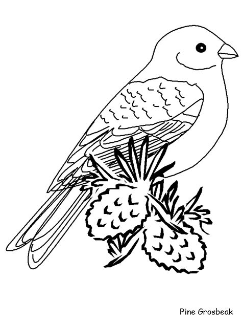 spring birds  love coloring pages png  file
