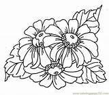 Carving Vorlagen Brandmalerei Pyrography Woodburning Tracing Zeichnungen Blumen Coloringpages101 sketch template