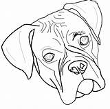 Boxer Drawing Line Dog Head Drawings Puppy Clipart Easy Book Pencil Getdrawings Breed Paintingvalley sketch template