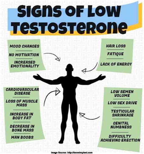 Low Testosterone Know The Cause Symptoms And Treatment