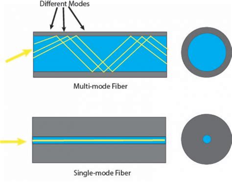 singlemode  multimode fiber optics      linden