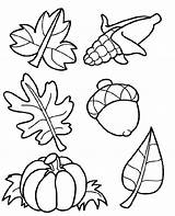 Coloring Corn Leaves Acorn Autumn Pumpkin Pages Symbols Print sketch template
