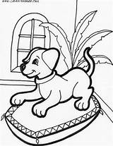 Coloring Pages Puppy Puppies Cute Dog Baby Printable Sheets Kids Print Colouring Dogs Pitbull Drawings Labrador Animal Big Printables Book sketch template