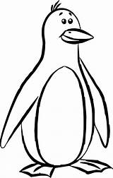 Pinguin Pinguini Colorear Stampare Pingüinos sketch template