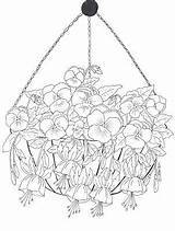 Hanging Basket Coloring Pansies Pages Fuchsia Floral Flower Baskets Plants Flowers Coloriage Colouring Visit Adulte Color sketch template