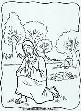 Gethsemane Ausmalbilder Malvorlagen Vbs Maz Großartige sketch template