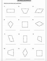 Quadrilaterals Classifying 99worksheets Naming Graphing sketch template