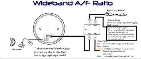 innovate motorsports dual wideband sensor wiring diagram wiring diagram pictures