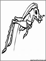 Cricket Coloring Insect Silhouette Fun Clipart sketch template