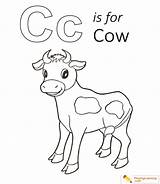 Cow Coloring Letter Sheet Alphabet Learning sketch template