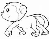 Cartoon Coloring Pages Monkeys Monkey Clipart sketch template