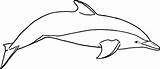 Dolphin Coloring Pages Printable Dolphins Killer Whale Outline Bottlenose Print Spinner Kids Clipart Drawing River Realistic Amazon Cliparts Color Templates sketch template