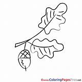 Colouring Acorn Printable Kids Coloring Sheet Title sketch template