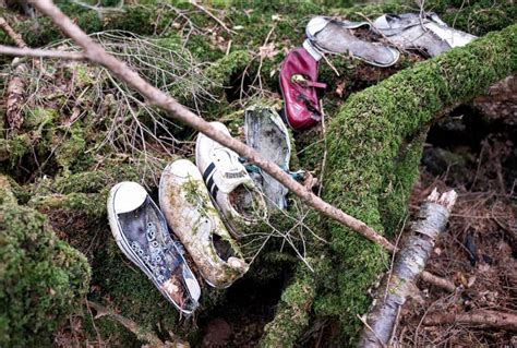 Inside Japan S Suicide Forest The Japan Times