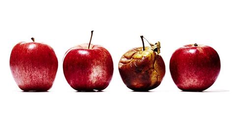 en koetue apple ueruenleri hangisi diye soruldugunda herkesin farkli bir cevabi olacaktir kisisel