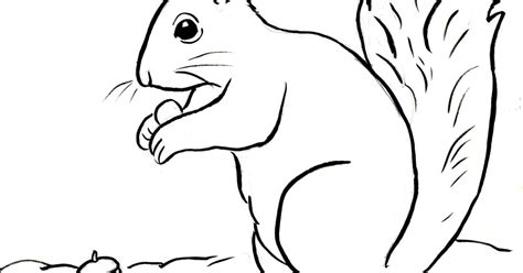 secret squirrel coloring sheets coloring pages
