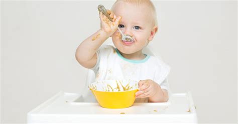 nutritionist wishes parents knew  weaning netmums