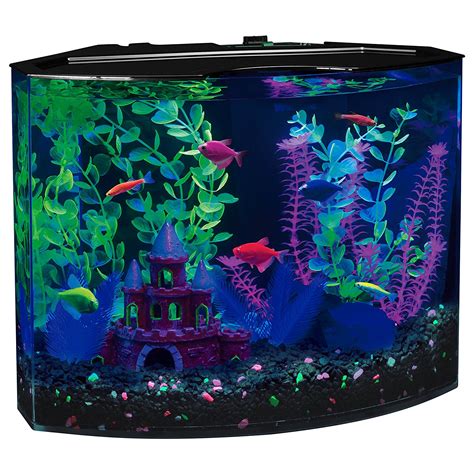 galleon aquarium kit