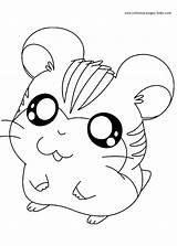 Pages Coloring Cartoon Hamtaro Color Print Sheets Printable Characters sketch template